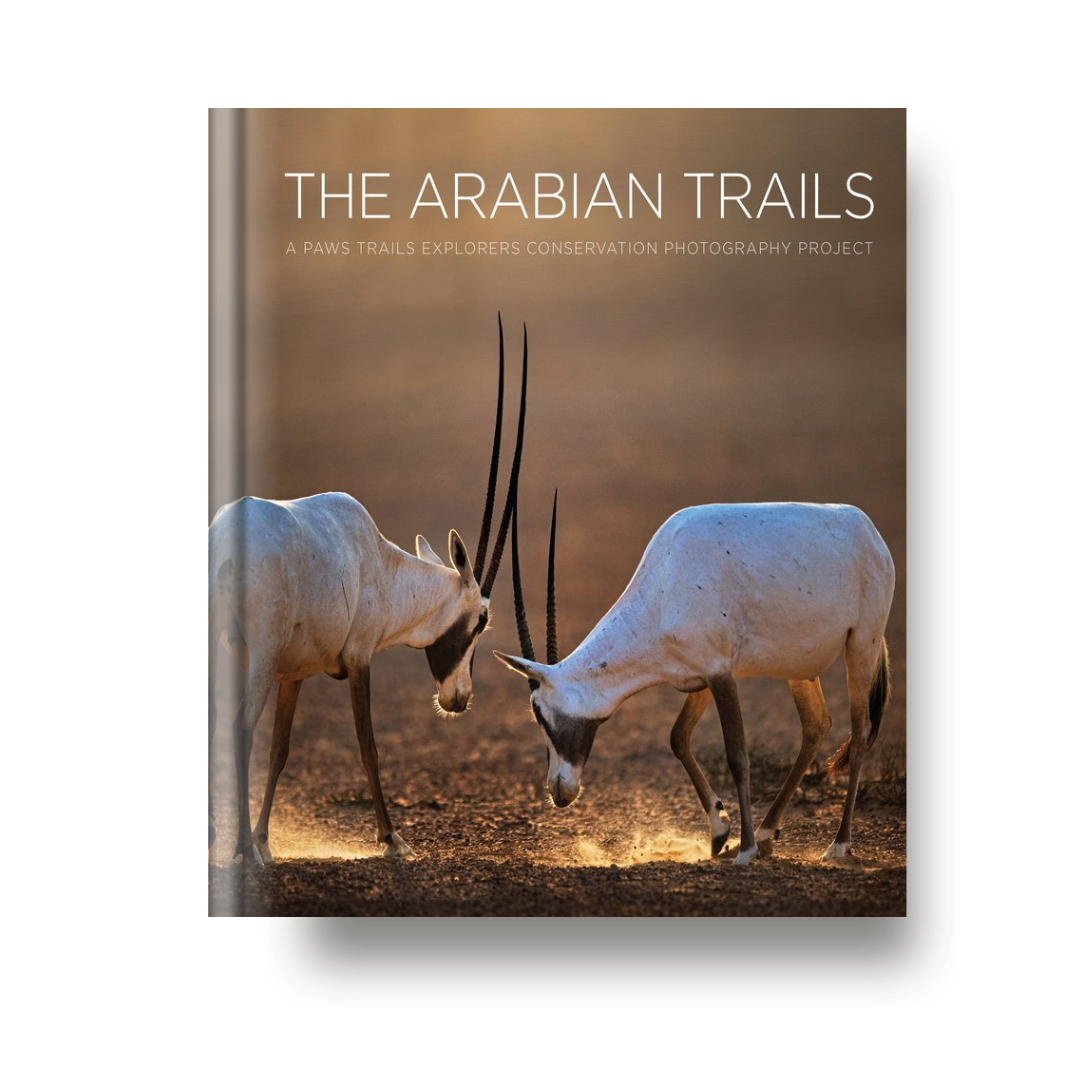 THE ARABIAN TRAILS