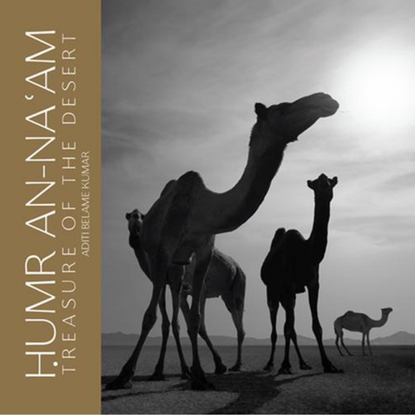 Humr An-Na'am, Treasure of the Desert