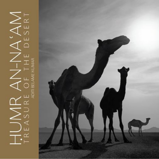 HUMR AN-NA'AM, TREASURE OF THE DESERT